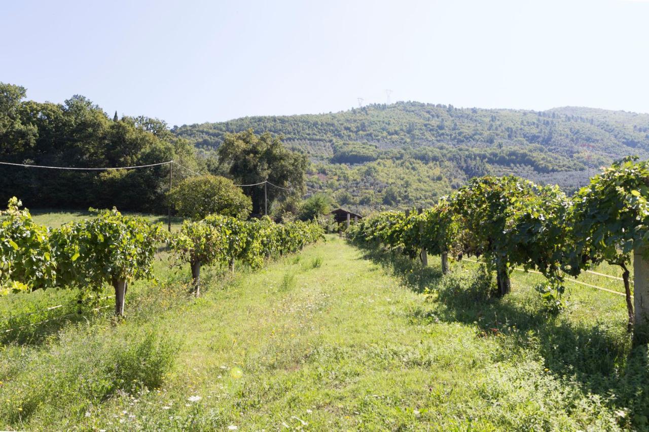 Agriturismo I Melograni 페렌틸로 외부 사진