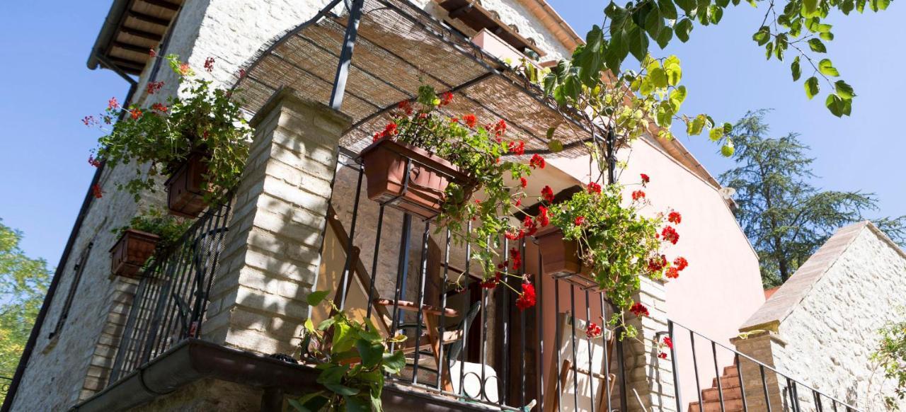 Agriturismo I Melograni 페렌틸로 외부 사진