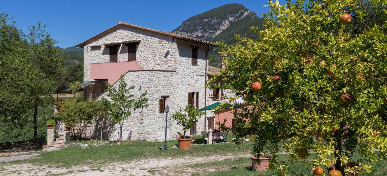 Agriturismo I Melograni 페렌틸로 외부 사진