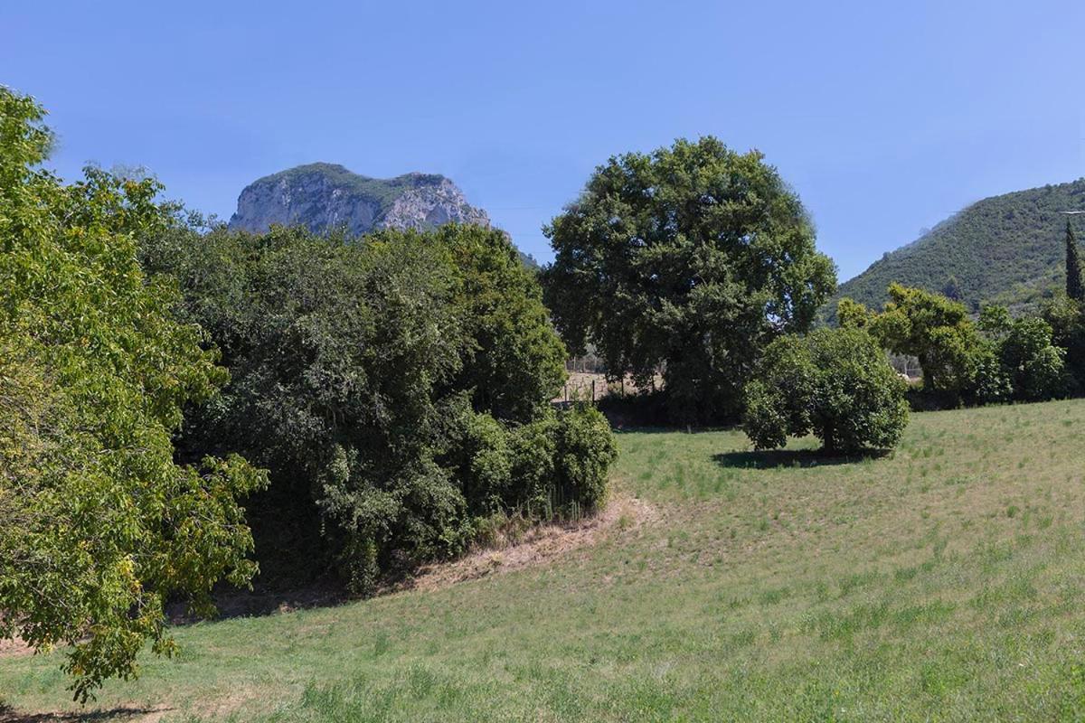 Agriturismo I Melograni 페렌틸로 외부 사진