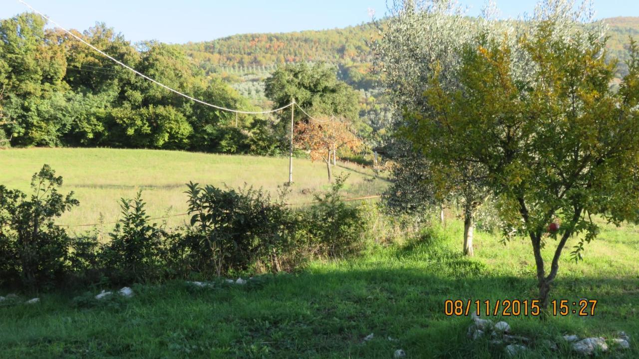 Agriturismo I Melograni 페렌틸로 외부 사진