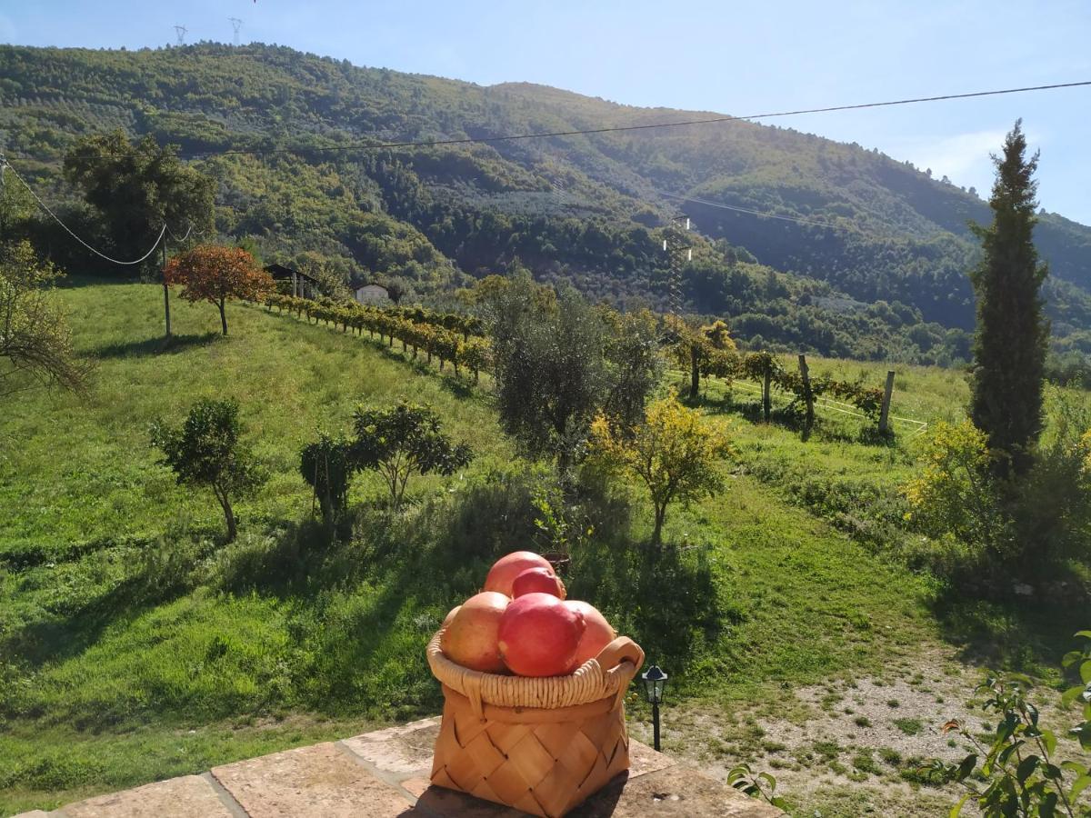 Agriturismo I Melograni 페렌틸로 외부 사진