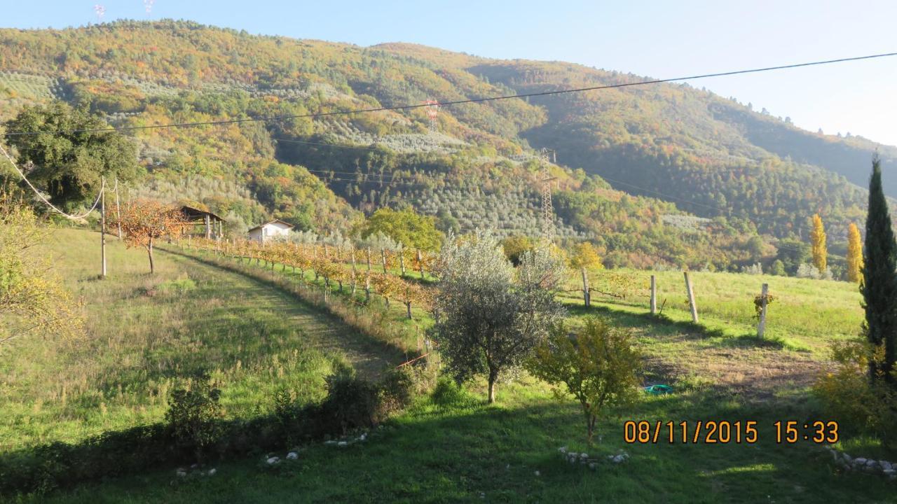 Agriturismo I Melograni 페렌틸로 외부 사진