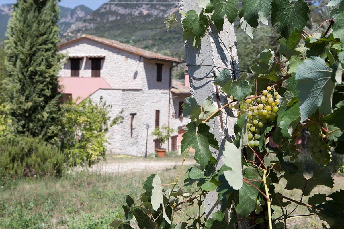 Agriturismo I Melograni 페렌틸로 외부 사진