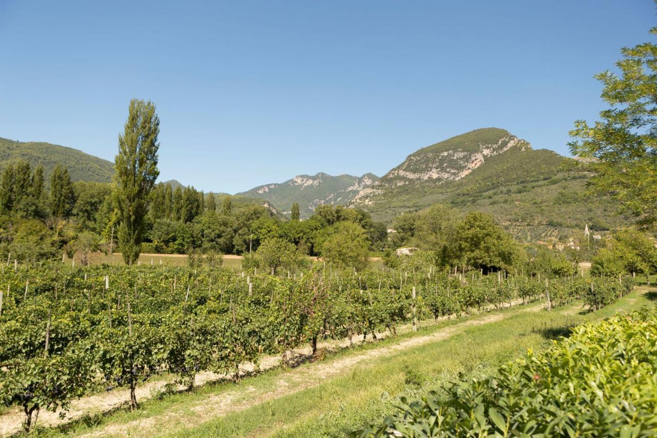 Agriturismo I Melograni 페렌틸로 외부 사진