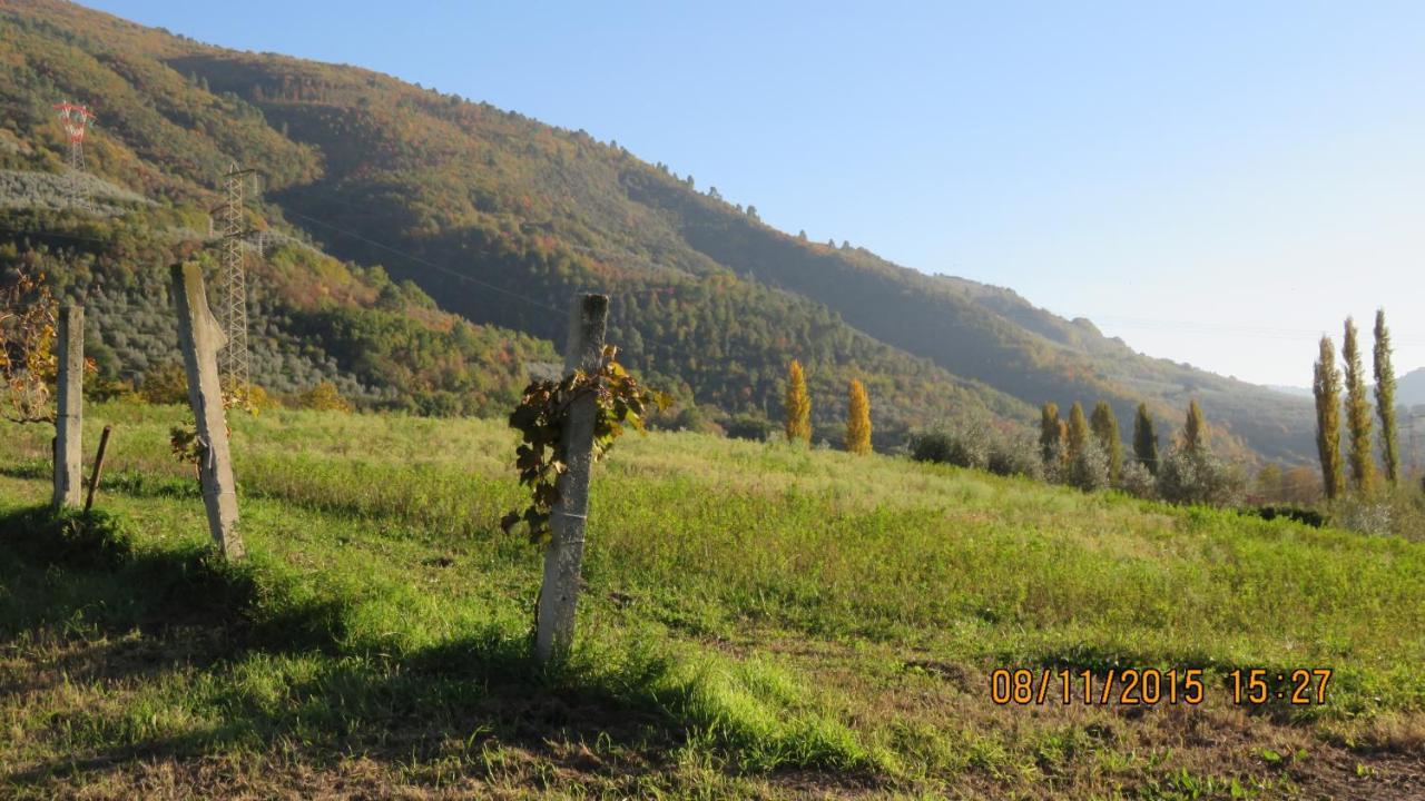Agriturismo I Melograni 페렌틸로 외부 사진