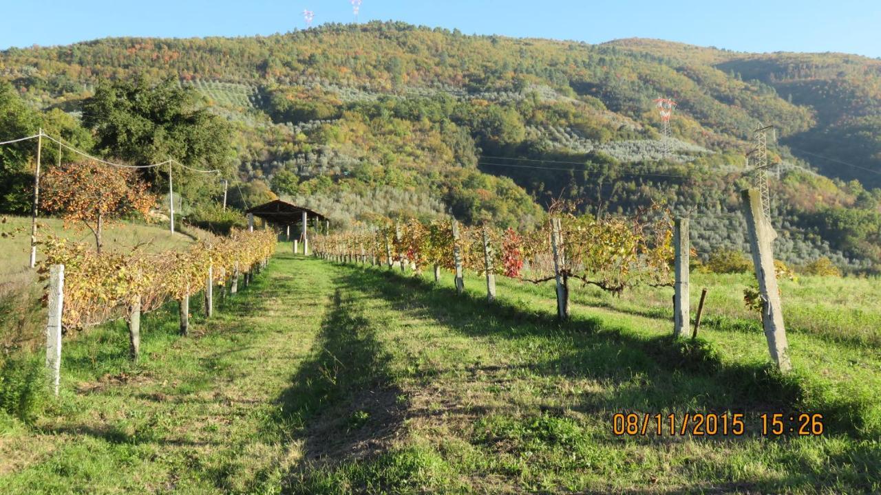 Agriturismo I Melograni 페렌틸로 외부 사진